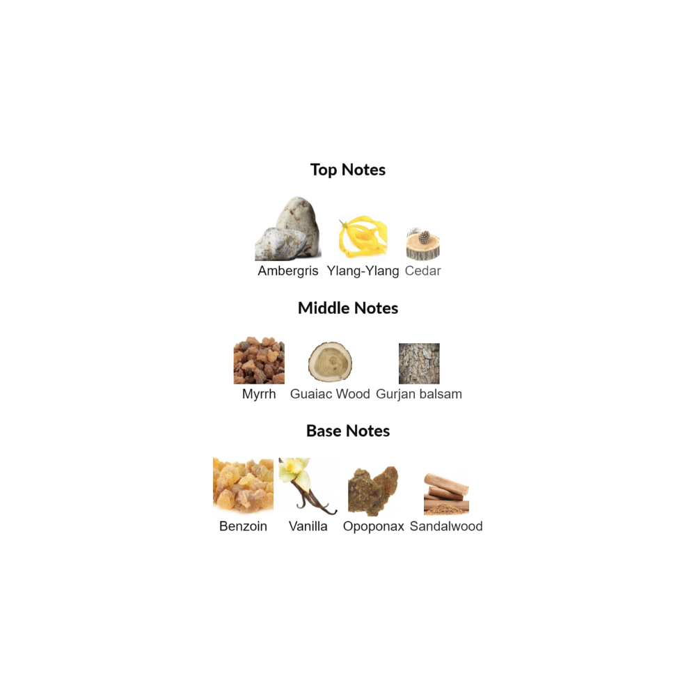 Amber Star Xerjoff for women and men Decant Samples - Decant Sample