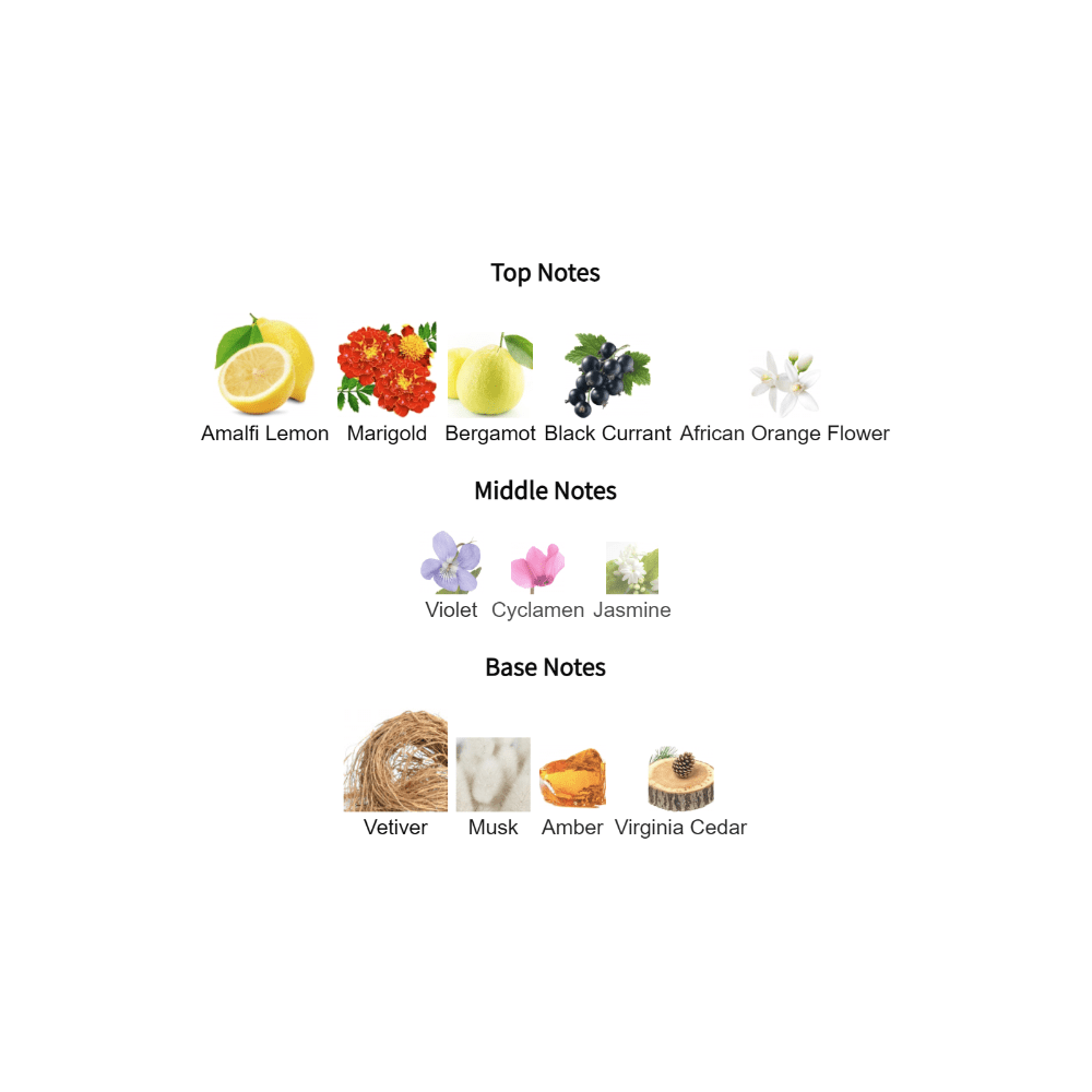Bal d'Afrique fragrance notes infographic featuring Amalfi Lemon, Marigold, Bergamot, Black Currant, African Orange Flower, Violet, Cyclamen, Jasmine, Vetiver, Musk, Amber, and Virginia Cedar.