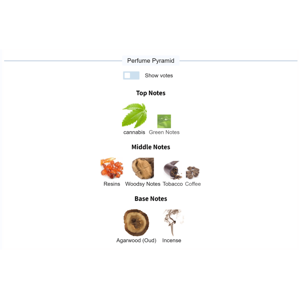 Black Afgano fragrance pyramid chart detailing top notes of cannabis and green notes, middle notes of resins, woodsy notes, tobacco, coffee, and base notes of agarwood (oud) and incense.