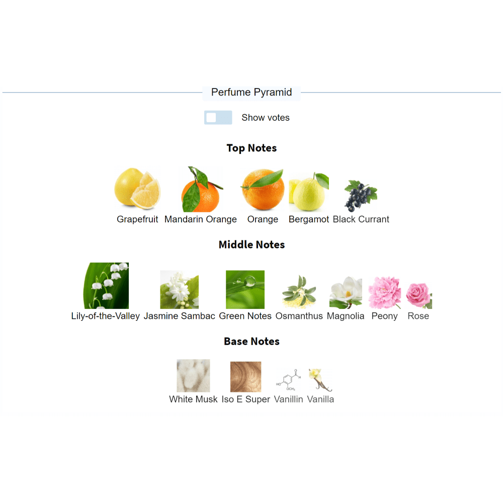 Perfume pyramid of Le Jour se Lève fragrance illustrating top, middle, and base notes.