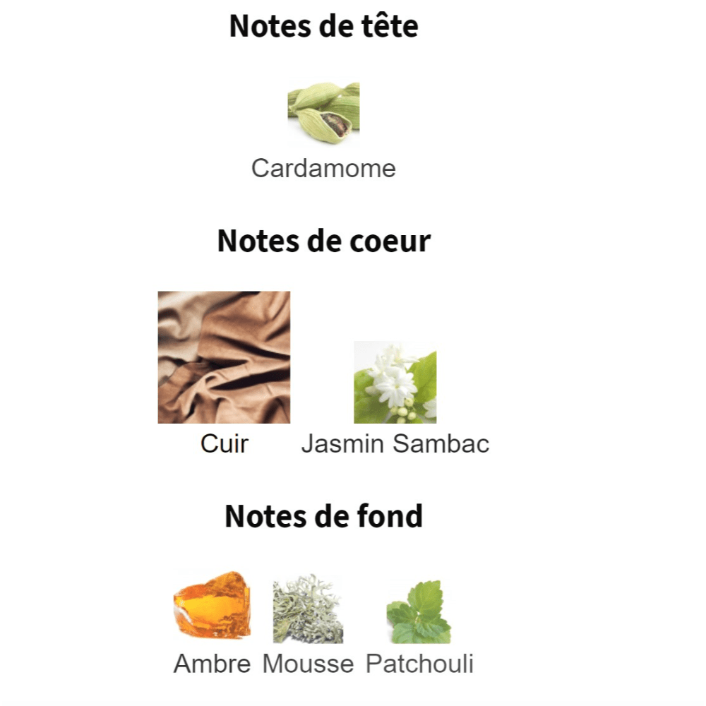 Ombré Leather Parfum fragrance notes including cardamom, jasmine sambac, leather, amber, moss, and patchouli.