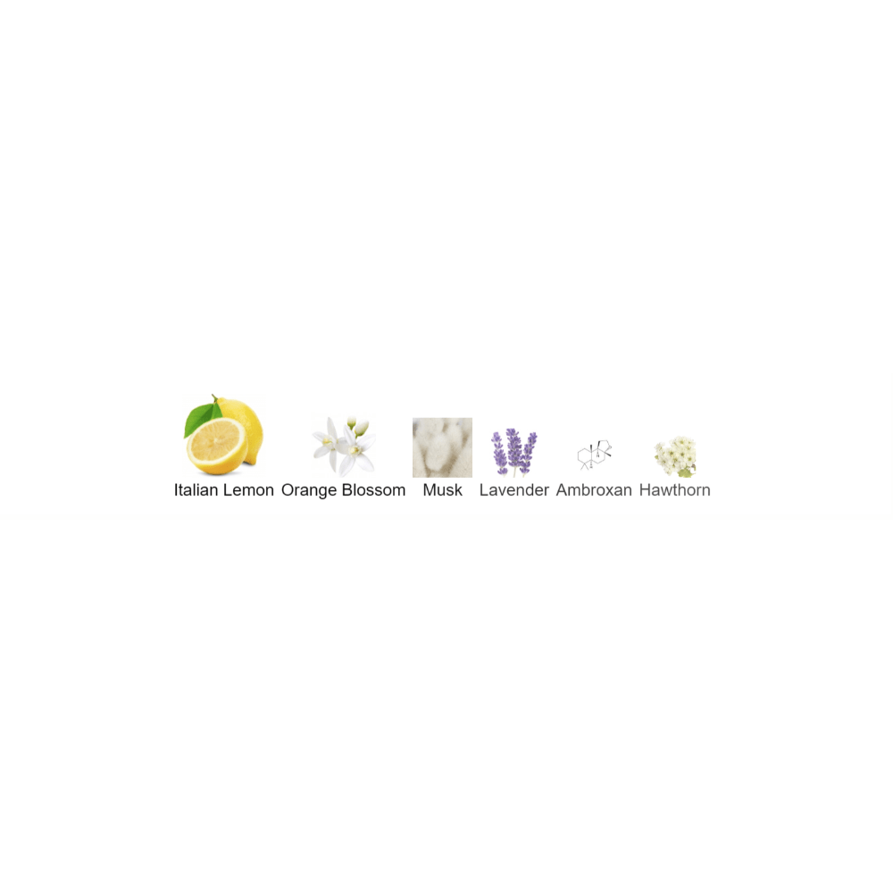 Petit Matin Maison Francis Kurkdjian for women and men - Decant Sample