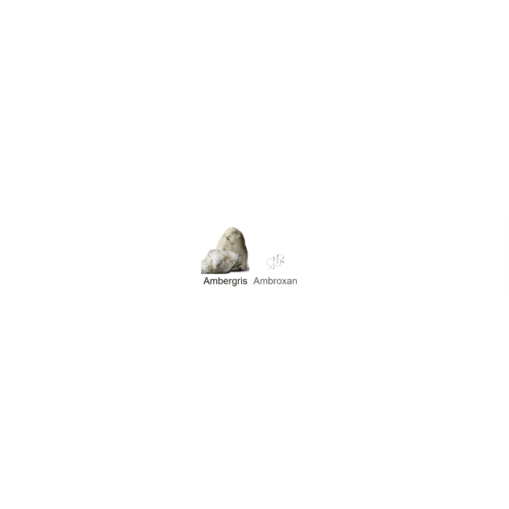 Pur Ambre Louis Vuitton for women and men Decant Samples - Decant Sample