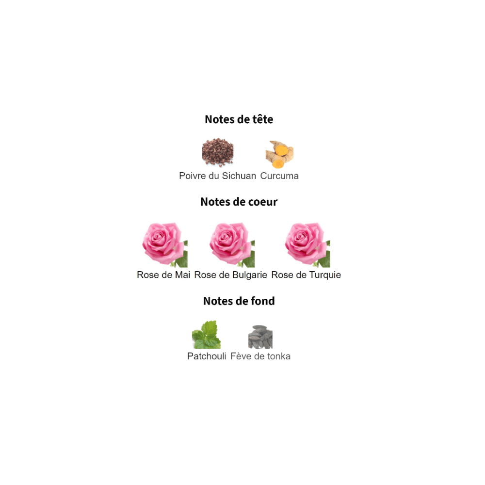 Rose Prick fragrance notes illustration featuring Sichuan Pepper, Turmeric, May Rose, Bulgarian Rose, Turkish Rose, Patchouli, and Tonka Bean.
