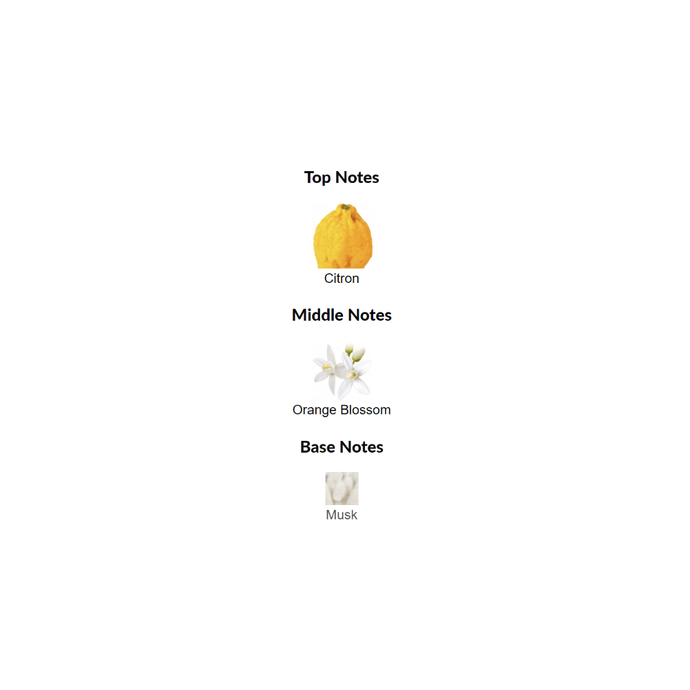 Sun Song Louis Vuitton for women and men Decant Samples - Decant Sample