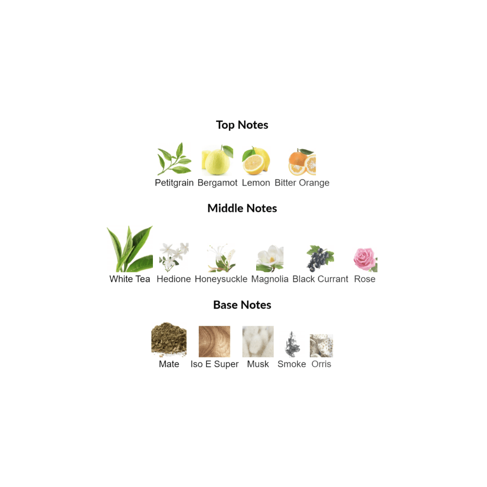The Cachemire Dior for women and men Decant Samples - Decant Sample