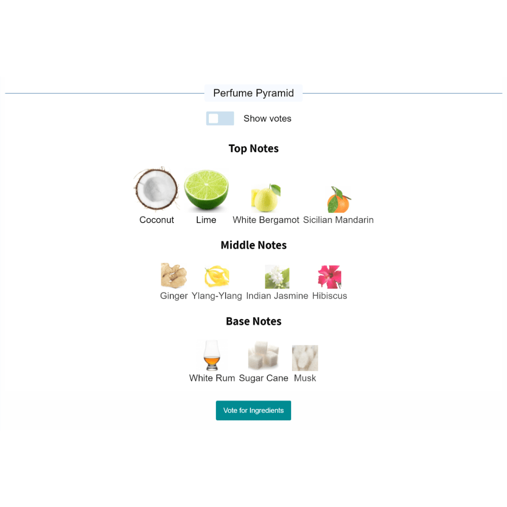 Perfume pyramid highlighting Virgin Island Water's notes: coconut, lime, white bergamot, Sicilian mandarin, ginger, ylang-ylang, Indian jasmine, hibiscus, white rum, sugar cane, musk.